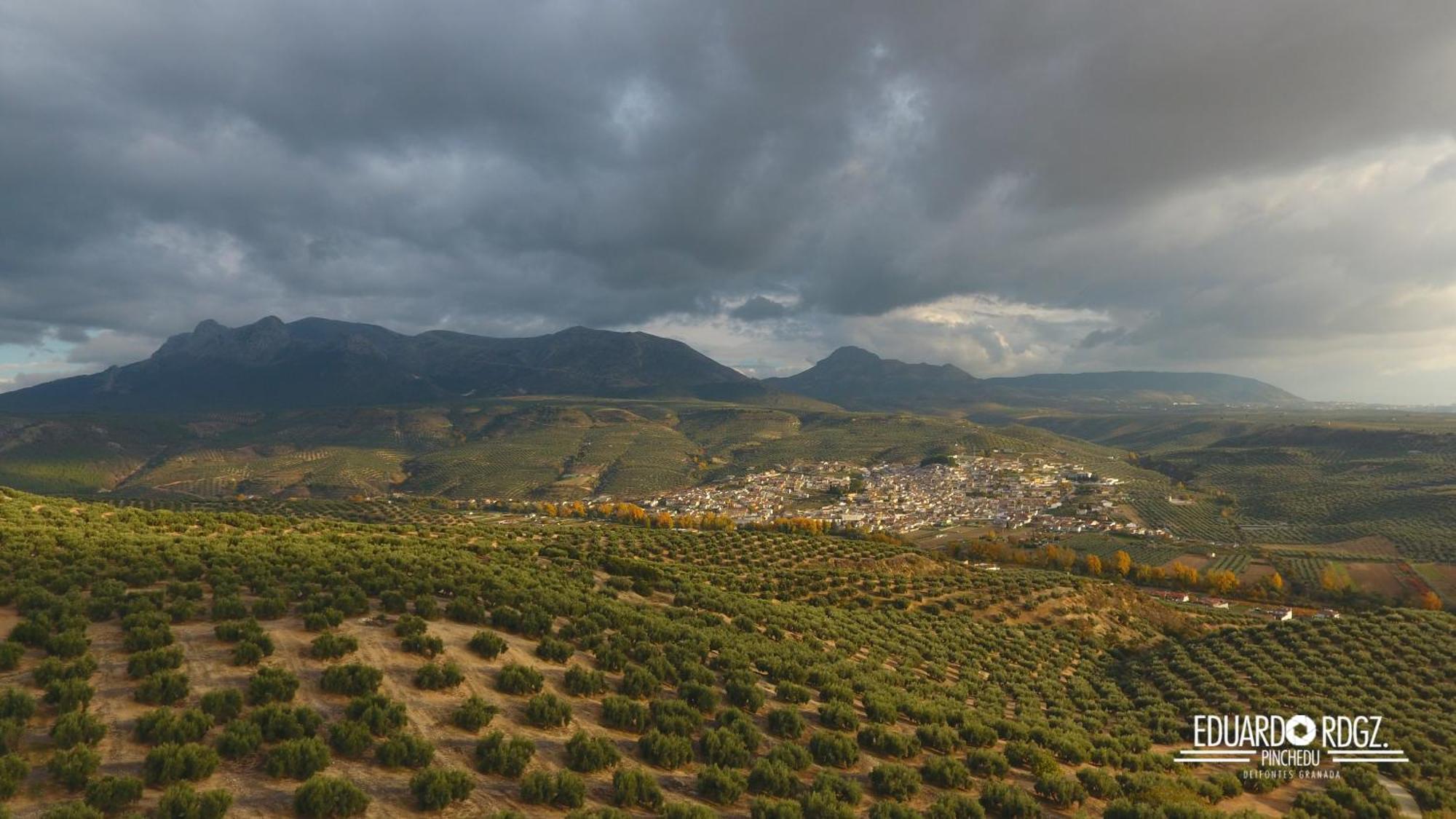 Alojamiento Rural Caserio De La Fuente Deifontes 외부 사진